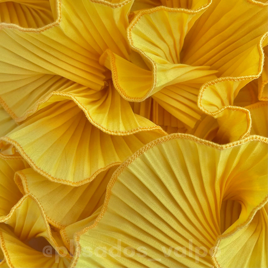 Plisado popelina / amarillo